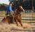 Shaun smith sau rodeo team member courtesy southern arkansas university_tiny